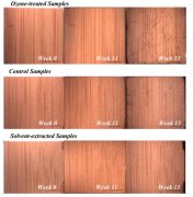 臭氧處理對真菌生長，化學(xué)成分和代謝的影響