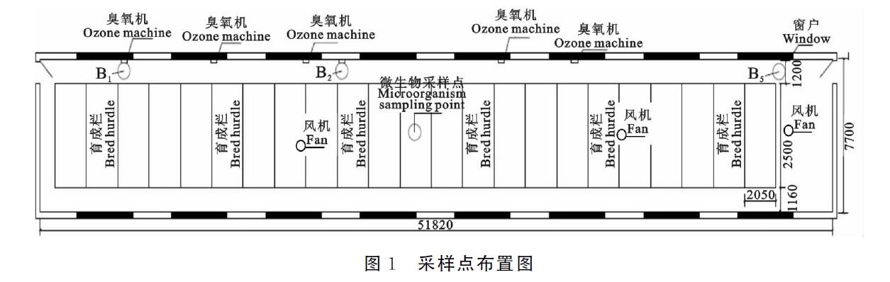 臭氧機放豬舍進行臭氧消毒會不會對豬有影響