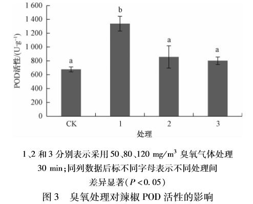 臭氧對辣椒種子萌發及生理指標的影響